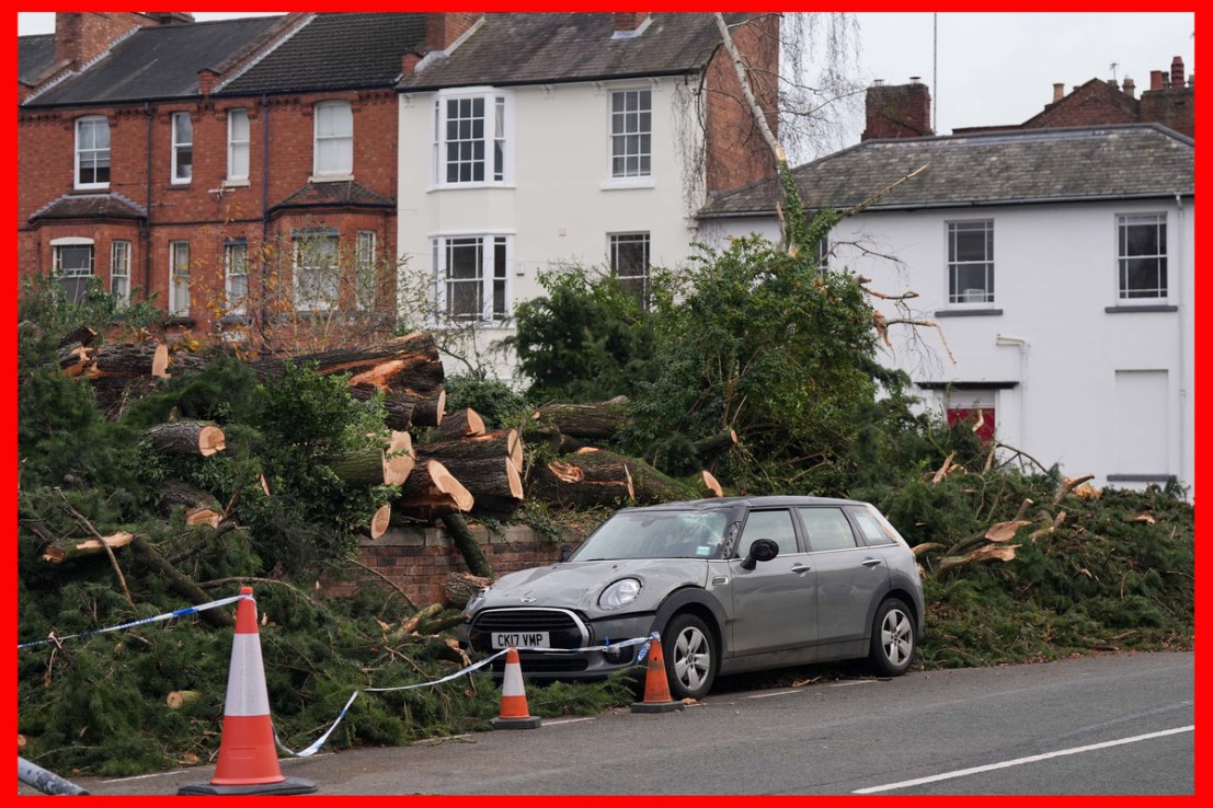 Damage to a nearby vehicle after a cedar tree fell in Leamington Spa, after Storm Darragh. Photo credit: Jacob King/PA Wire
