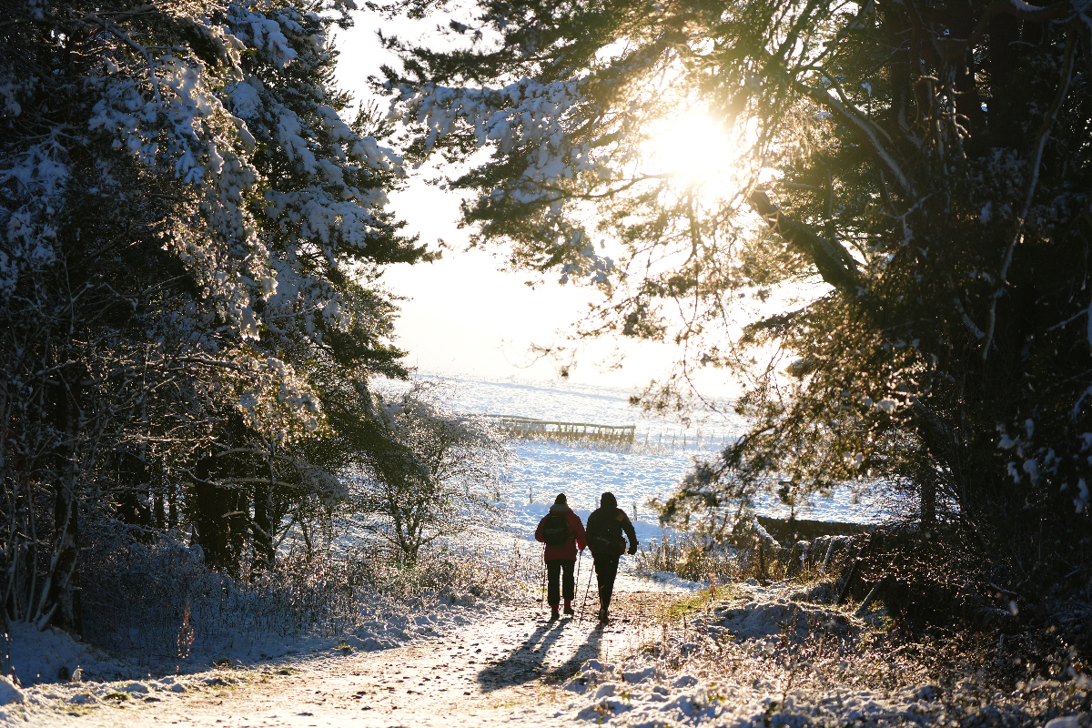 UK braced for heavy snow and freezing rain amid amber weather warnings