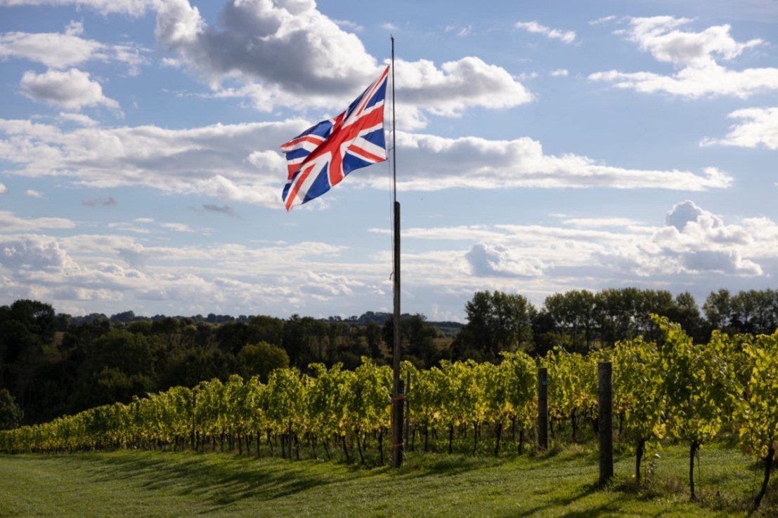 British wine industry calls on Eurostar to bring back Kent services