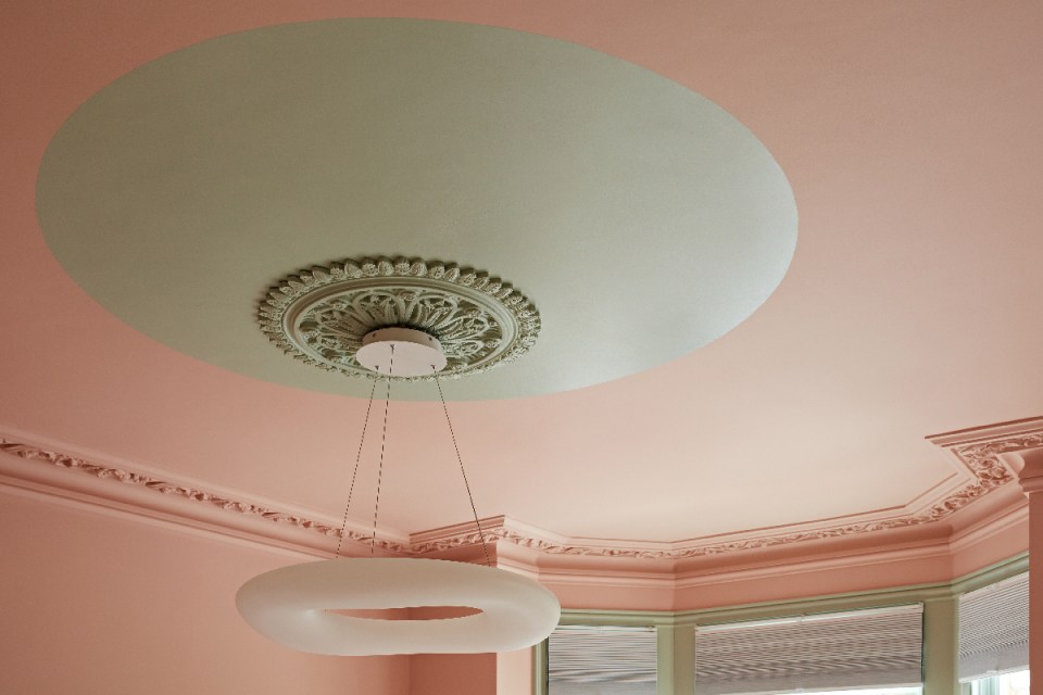 The London terrace conversion included striking details such as this ceiling rose in complimentary colours